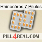 Rhinocéros 7 Pilules cialis4